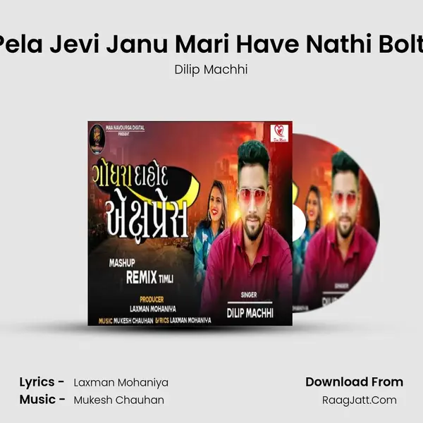 Pela Jevi Janu Mari Have Nathi Bolti MP3 Song by Dilip Machhi Cover