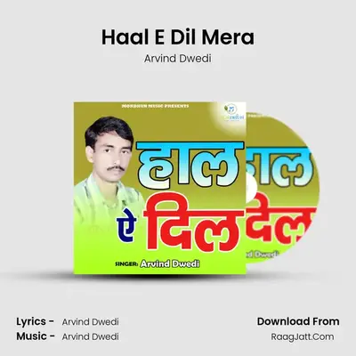 Haal E Dil Mera Cover