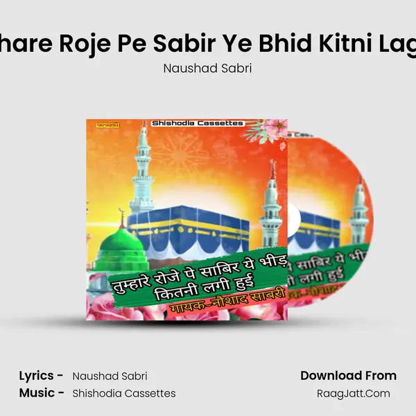 Tumhare Roje Pe Sabir Ye Bhid Kitni Lagi Hui mp3 song