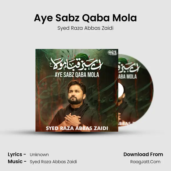 Aye Sabz Qaba Mola mp3 song