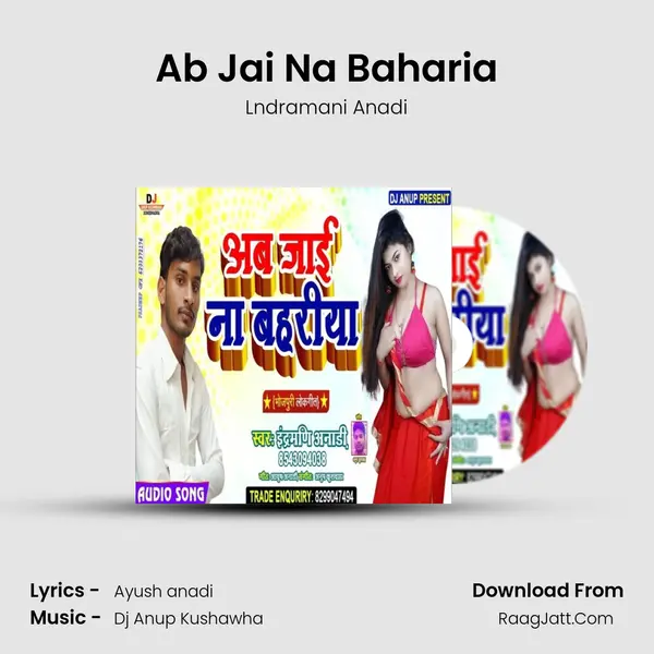 Ab Jai Na Baharia Cover