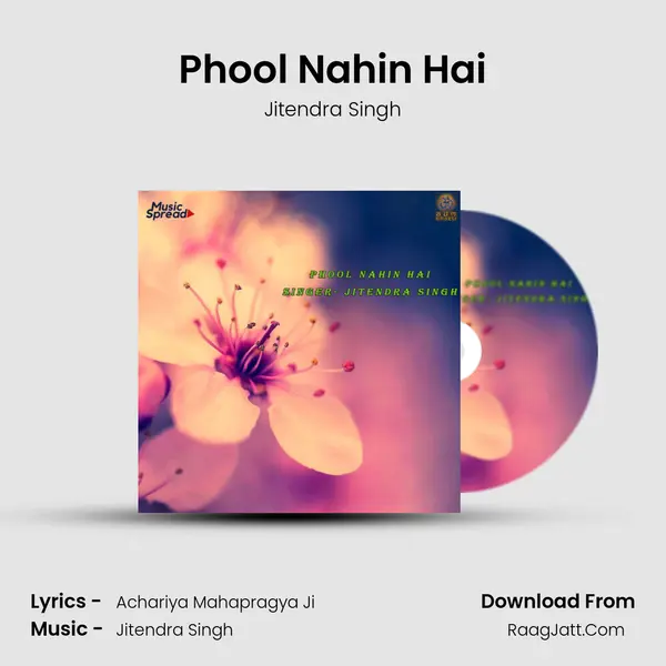 Phool Nahin Hai mp3 song