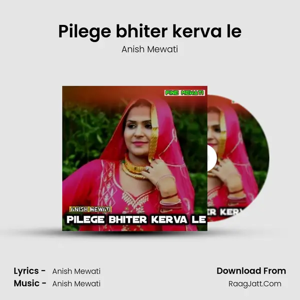 Pilege bhiter kerva le - Anish Mewati