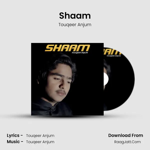 Shaam MP3 Song by Touqeer Anjum Cover