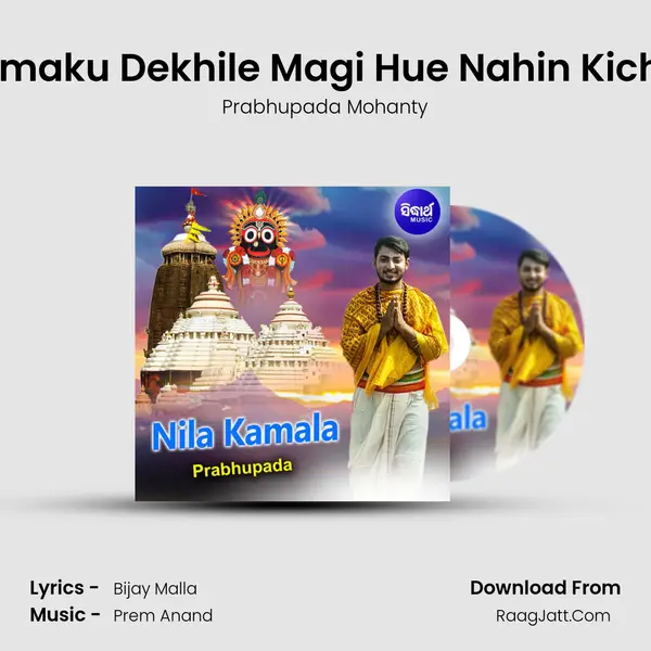 Tumaku Dekhile Magi Hue Nahin Kichhi MP3 Song by Prabhupada Mohanty Cover