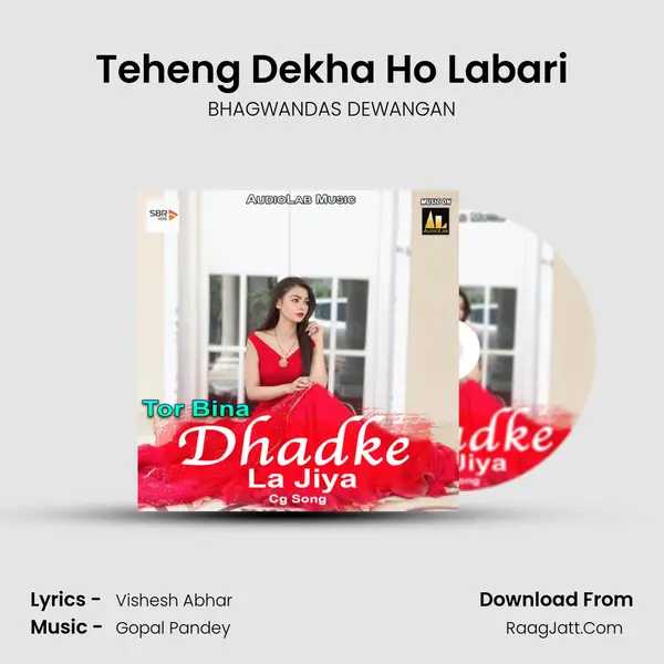 Teheng Dekha Ho Labari MP3 Song by BHAGWANDAS DEWANGAN Cover