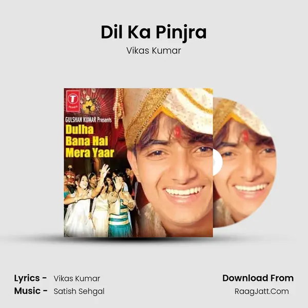 Dil Ka Pinjra MP3 Song by Vikas Kumar Cover