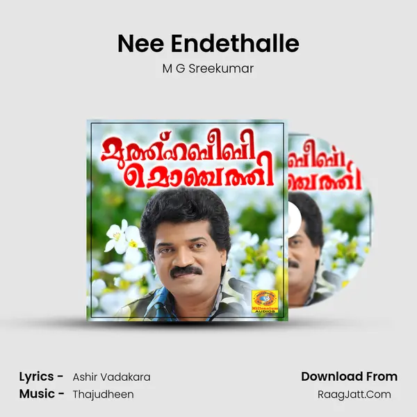 Nee Endethalle Cover