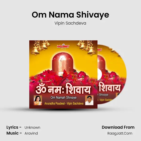 Om Nama Shivaye MP3 Song by Vipin Sachdeva Cover