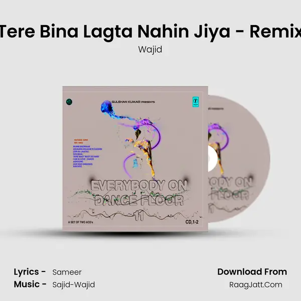 Tere Bina Lagta Nahin Jiya - Remix MP3 Song by Wajid Cover