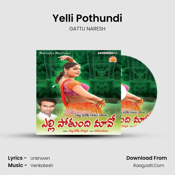 Yelli Pothundi MP3 Song by GATTU NARESH Cover