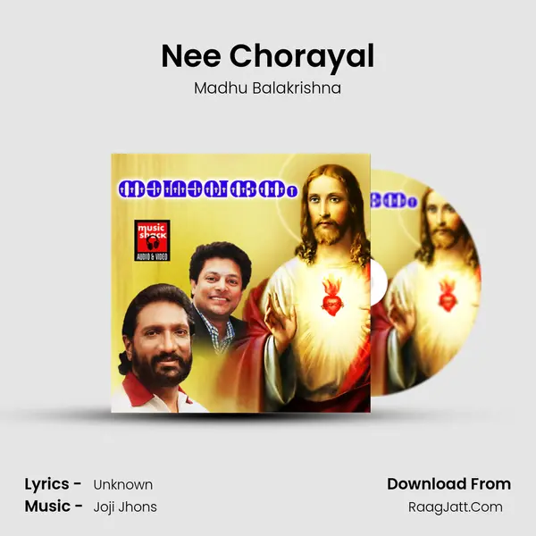 Nee Chorayal MP3 Song by Madhu Balakrishna Cover
