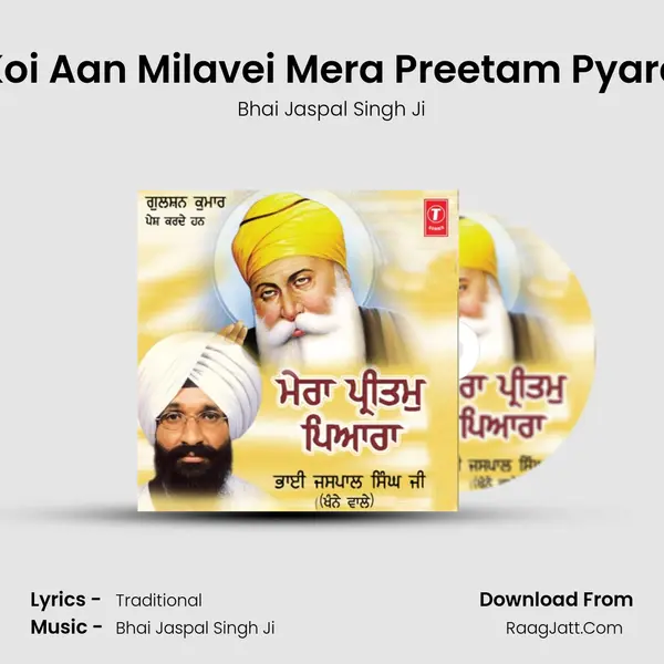 Koi Aan Milavei Mera Preetam Pyara mp3 song