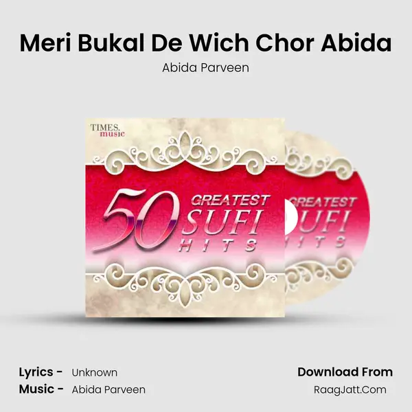 Meri Bukal De Wich Chor Abida MP3 Song by Abida Parveen Cover