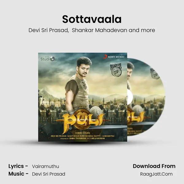 Sottavaala MP3 Song by Devi Sri Prasad Cover