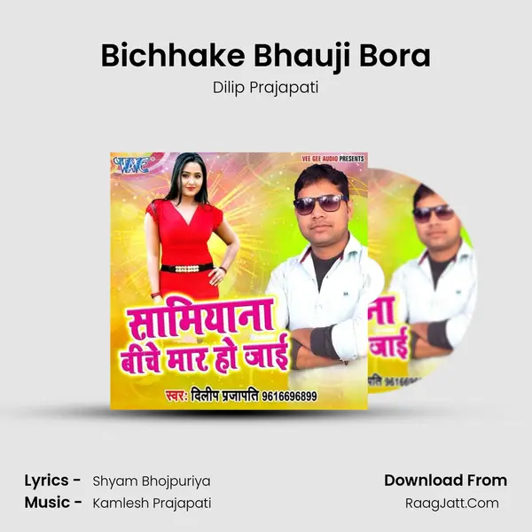 Bichhake Bhauji Bora MP3 Song by Dilip Prajapati Cover