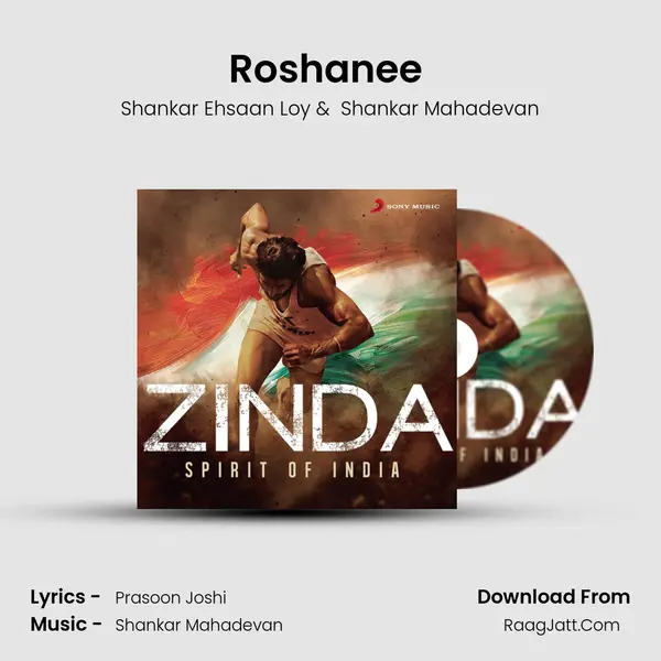 Roshanee (From "Aarakshan") Cover