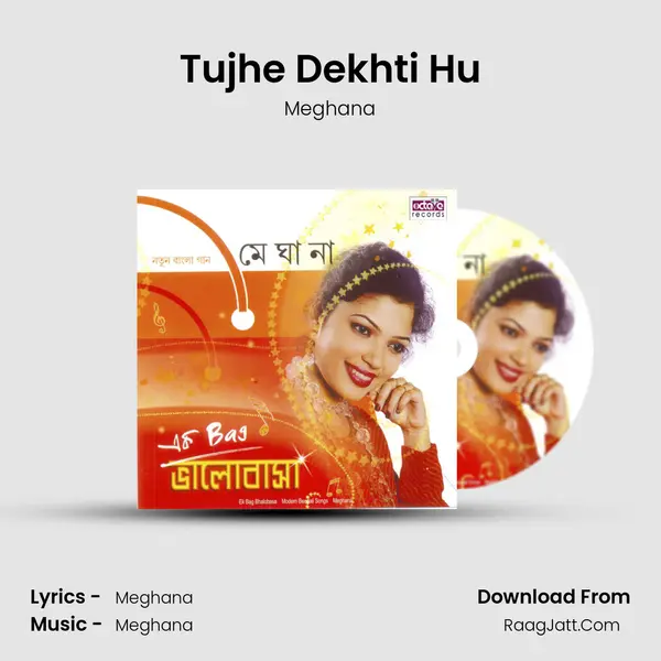 Tujhe Dekhti Hu MP3 Song by Meghana Cover