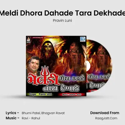 Meldi Dhora Dahade Tara Dekhade - Pravin Luni