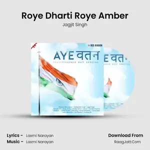 Roye Dharti Roye Amber Cover