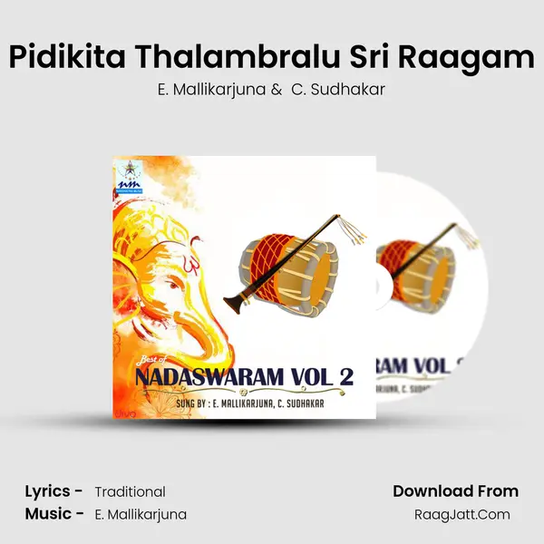 Pidikita Thalambralu Sri Raagam MP3 Song by E. Mallikarjuna Cover