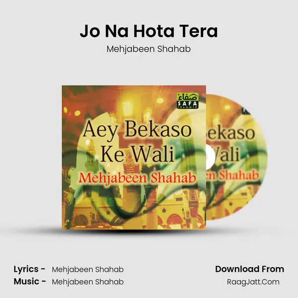 Jo Na Hota Tera MP3 Song by Mehjabeen Shahab Cover