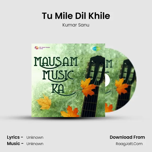 Tu Mile Dil Khile Cover