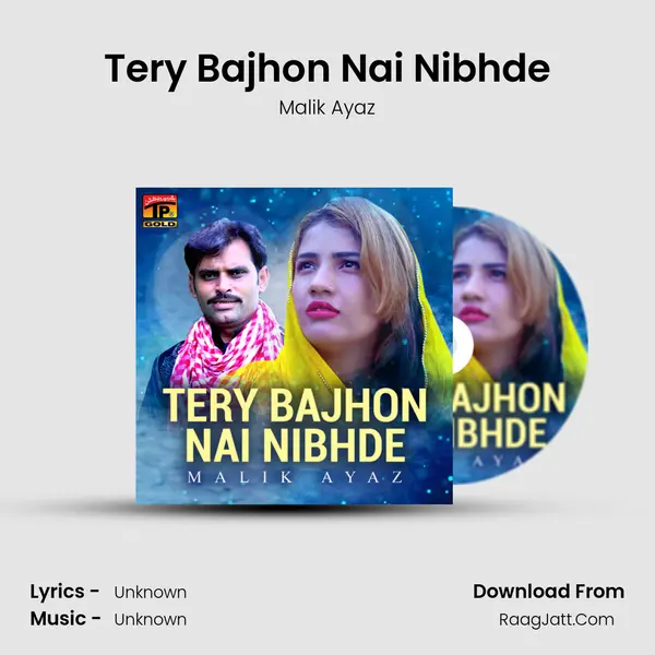 Tery Bajhon Nai Nibhde MP3 Song by Malik Ayaz Cover