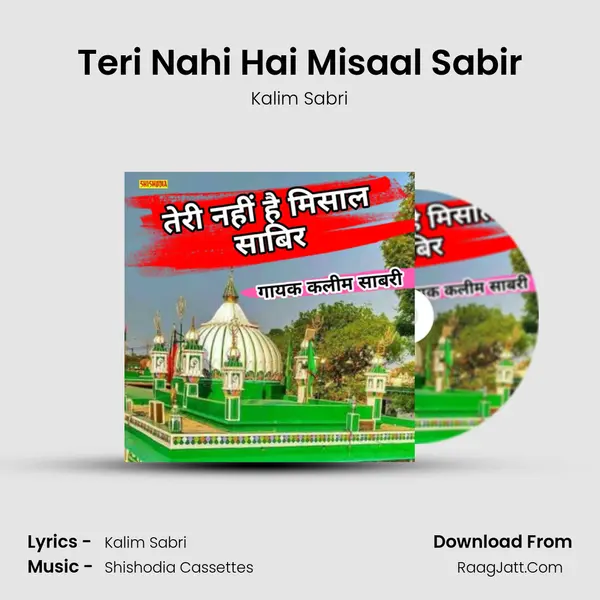 Teri Nahi Hai Misaal Sabir mp3 song