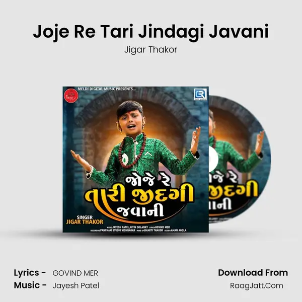 Joje Re Tari Jindagi Javani mp3 song