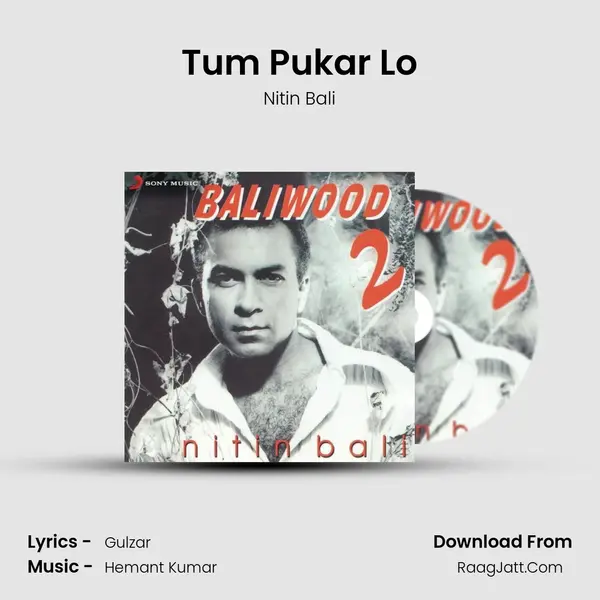 Tum Pukar Lo MP3 Song by Nitin Bali Cover