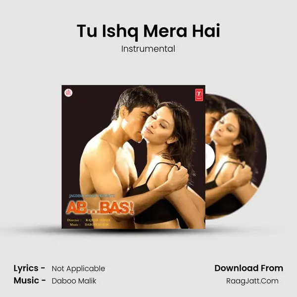 Tu Ishq Mera Hai MP3 Song by Instrumental Cover