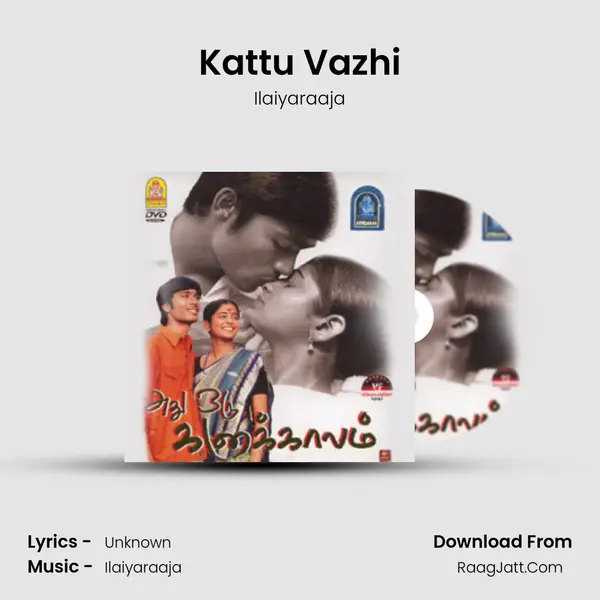 Kattu Vazhi MP3 Song by Ilaiyaraaja Cover