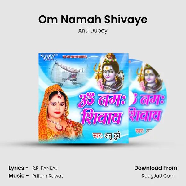 Om Namah Shivaye MP3 Song by Anu Dubey Cover