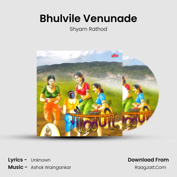 Bhulvile Venunade MP3 Song by Shyam Rathod Cover