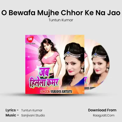 O Bewafa Mujhe Chhor Ke Na Jao MP3 Song by Tuntun Kumar Cover