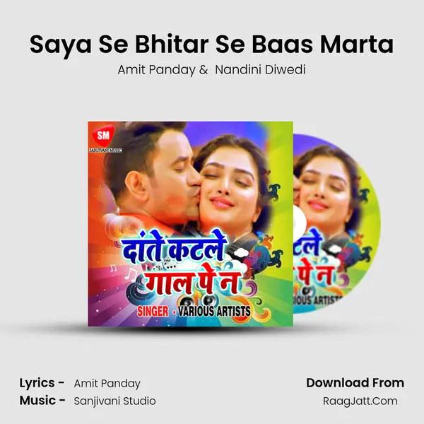 Saya Se Bhitar Se Baas Marta MP3 Song by Amit Panday Cover