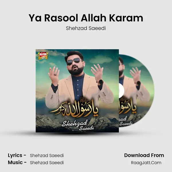 Ya Rasool Allah Karam - Shehzad Saeedi
