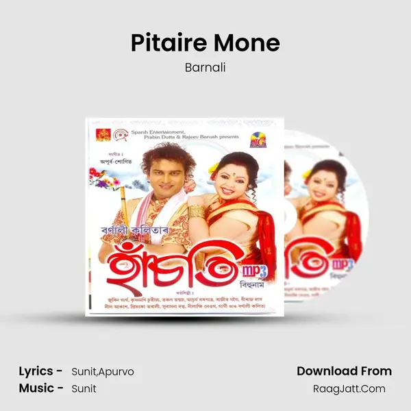 Pitaire Mone MP3 Song by Barnali Cover
