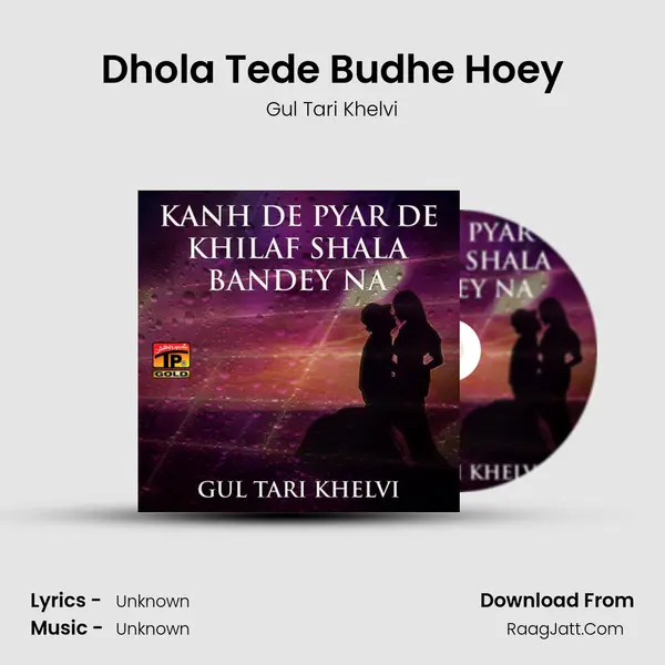 Dhola Tede Budhe Hoey MP3 Song by Gul Tari Khelvi Cover