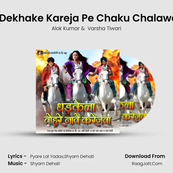 Dhodhi Dekhake Kareja Pe Chaku Chalawatiya Re MP3 Song by Alok Kumar Cover