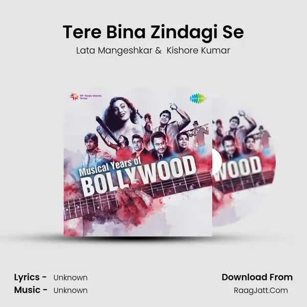 Tere Bina Zindagi Se Cover