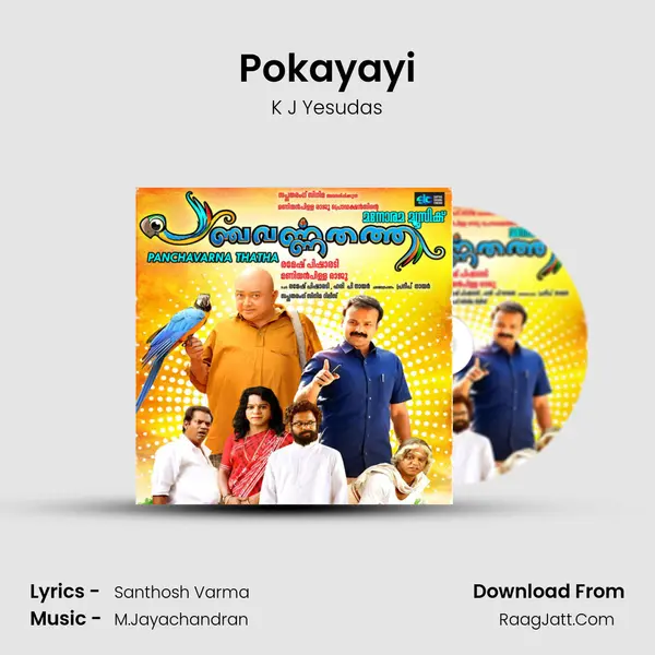 Pokayayi MP3 Song by K J Yesudas Cover