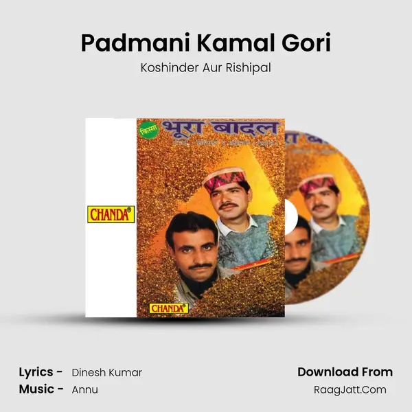 Padmani Kamal Gori MP3 Song by Koshinder Aur Rishipal Cover