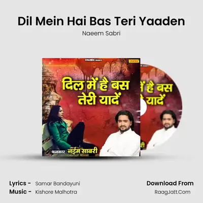 Dil Mein Hai Bas Teri Yaaden MP3 Song by Naeem Sabri Cover