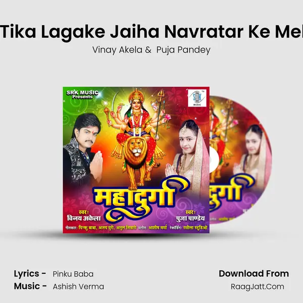 Kariya Tika Lagake Jaiha Navratar Ke Mela Mein mp3 song