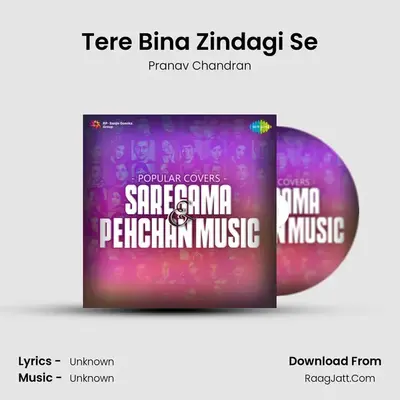 Tere Bina Zindagi Se Cover