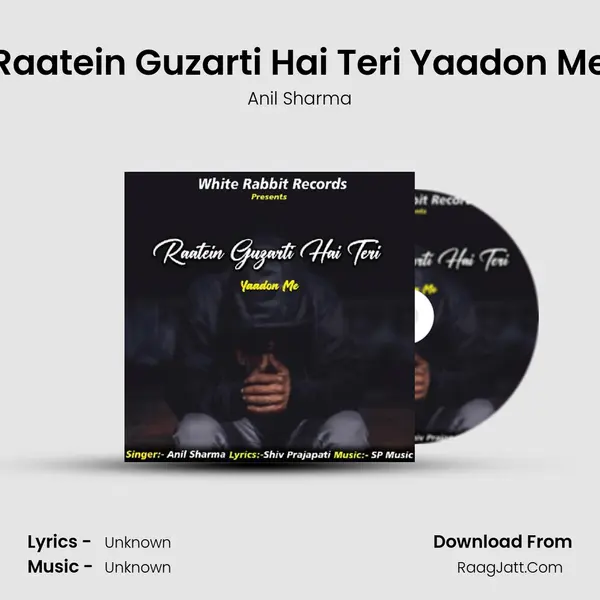 Raatein Guzarti Hai Teri Yaadon Me mp3 song