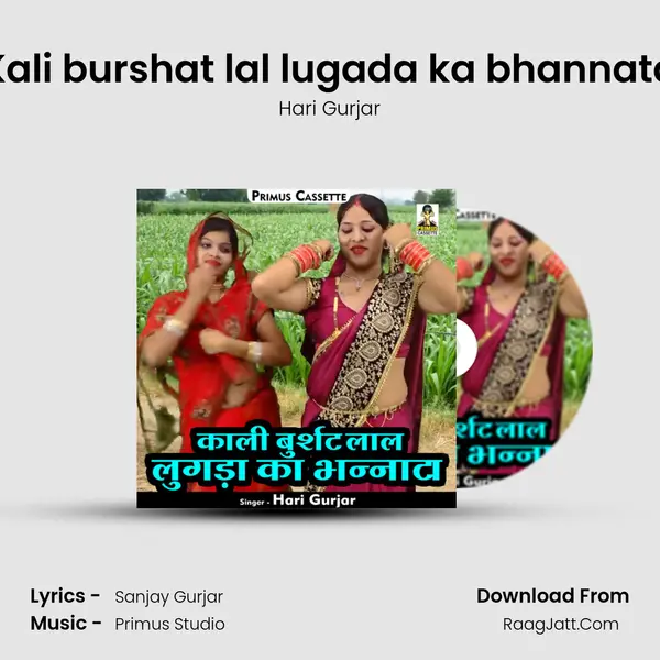 Kali burshat lal lugada ka bhannata mp3 song