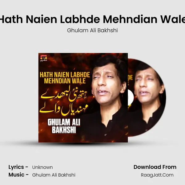 Hath Naien Labhde Mehndian Wale mp3 song